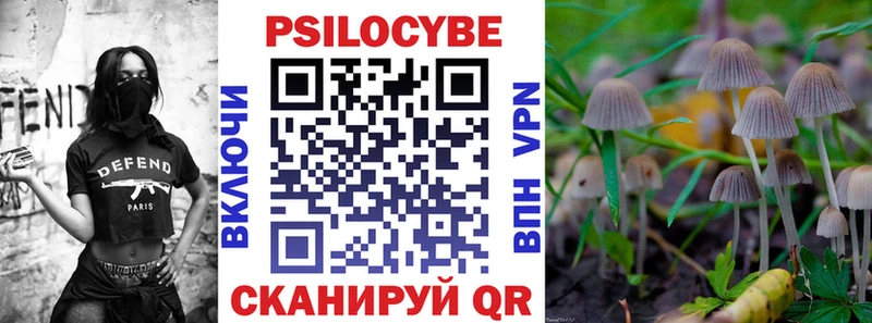 нарко площадка официальный сайт  Владимир  Псилоцибиновые грибы GOLDEN TEACHER  где найти  